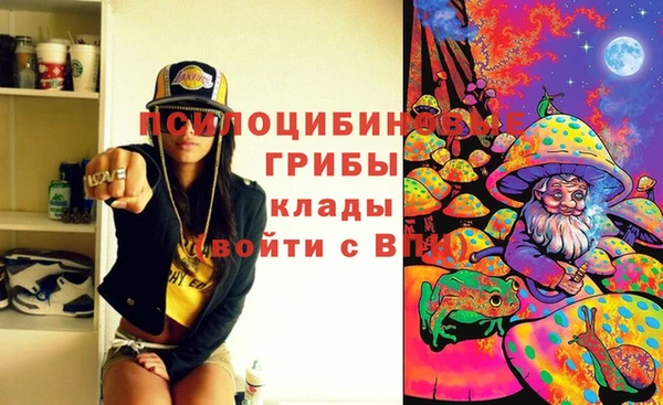 ECSTASY Бугульма