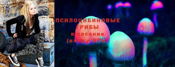 мяу мяу мука Бородино