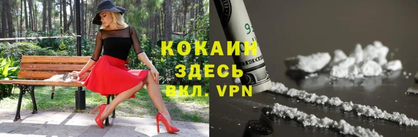 мяу мяу мука Бородино